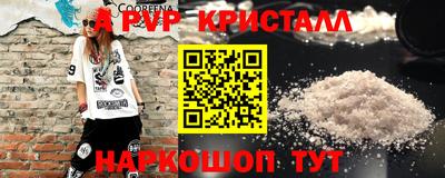 эйфоретик Кингисепп